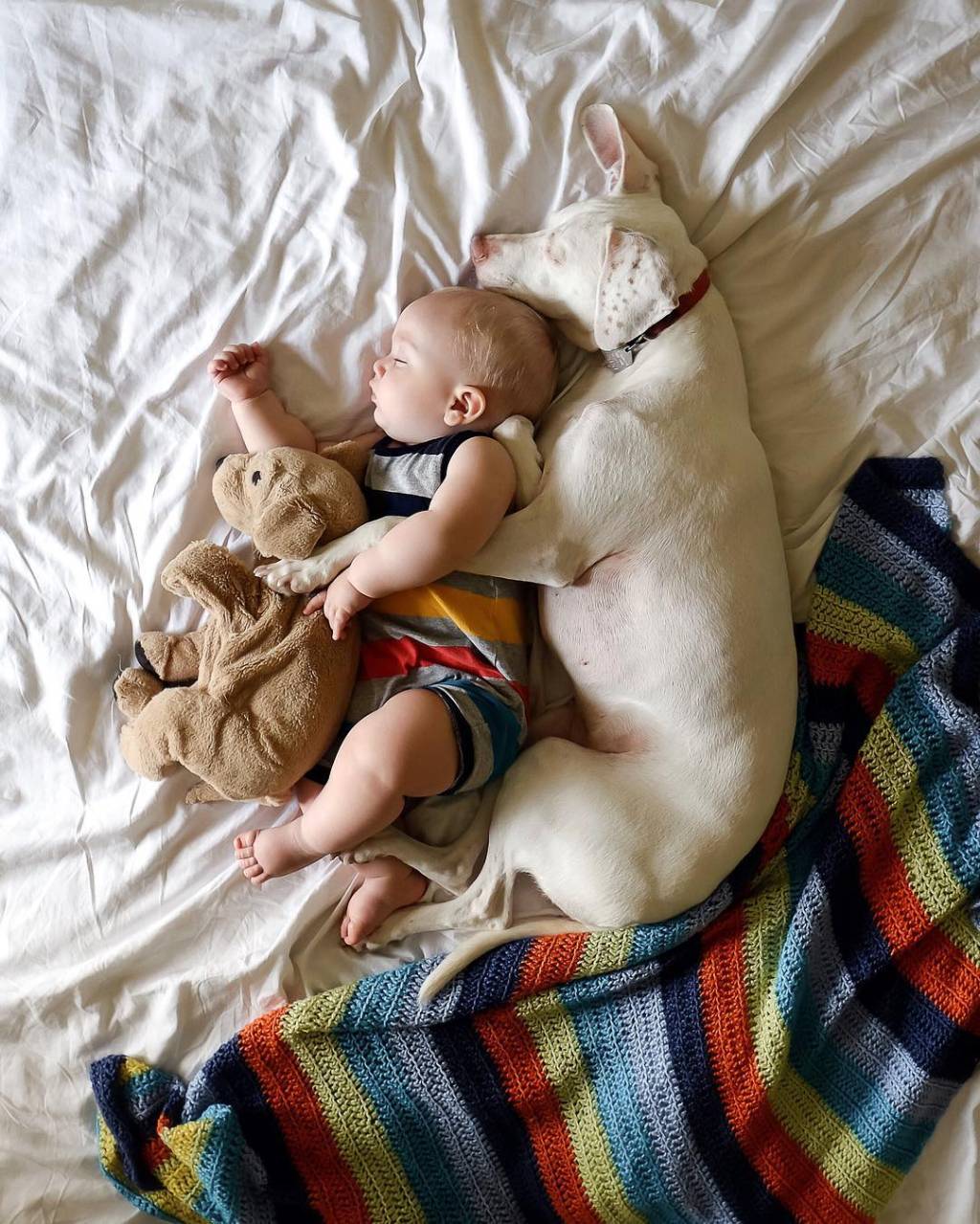 O amor entre este bebê e este cachorro vai alegrar o seu dia