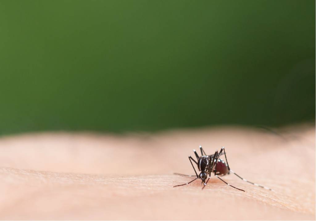 Ministério da Saúde vai oferecer novo teste para identificar zika