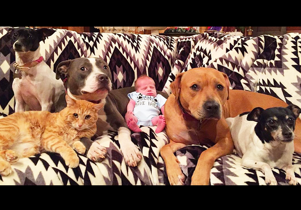 Mãe registra bichos de estimação dando boas vindas ao irmãozinho