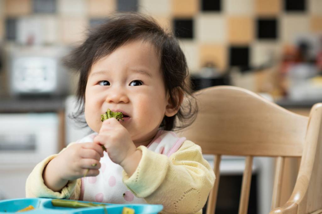 Sociedade Brasileira de Pediatria lança guia atualizado sobre BLW