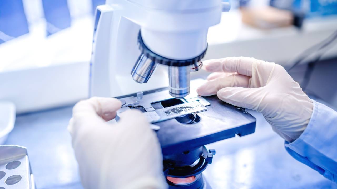 Ovário artificial poderá ajudar mulheres com câncer que desejam ter filhos