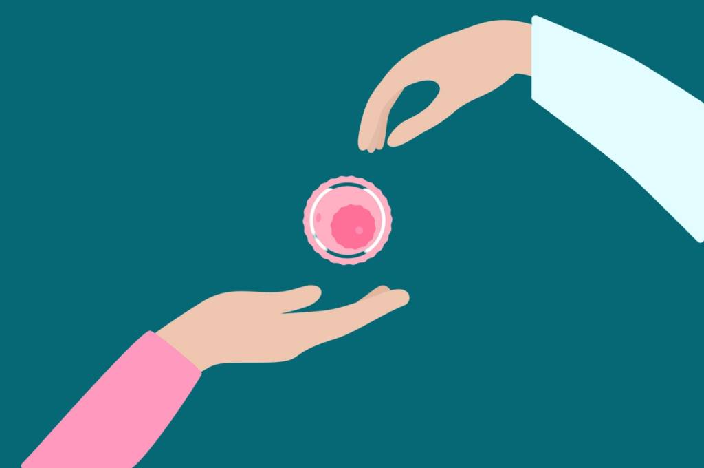 Fertilidade: o que é ovodoação e quando ela é indicada para as mulheres