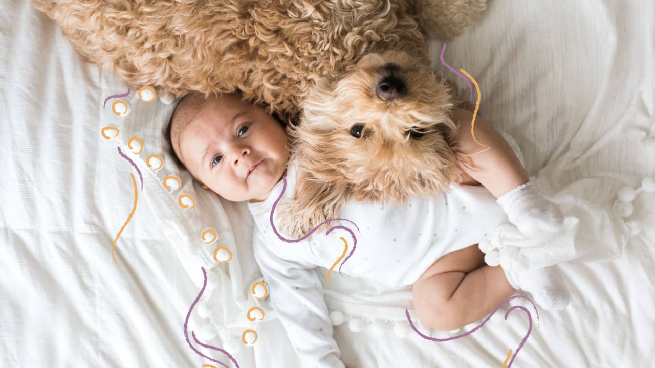 Crianças que crescem com pets desenvolvem menos alergias