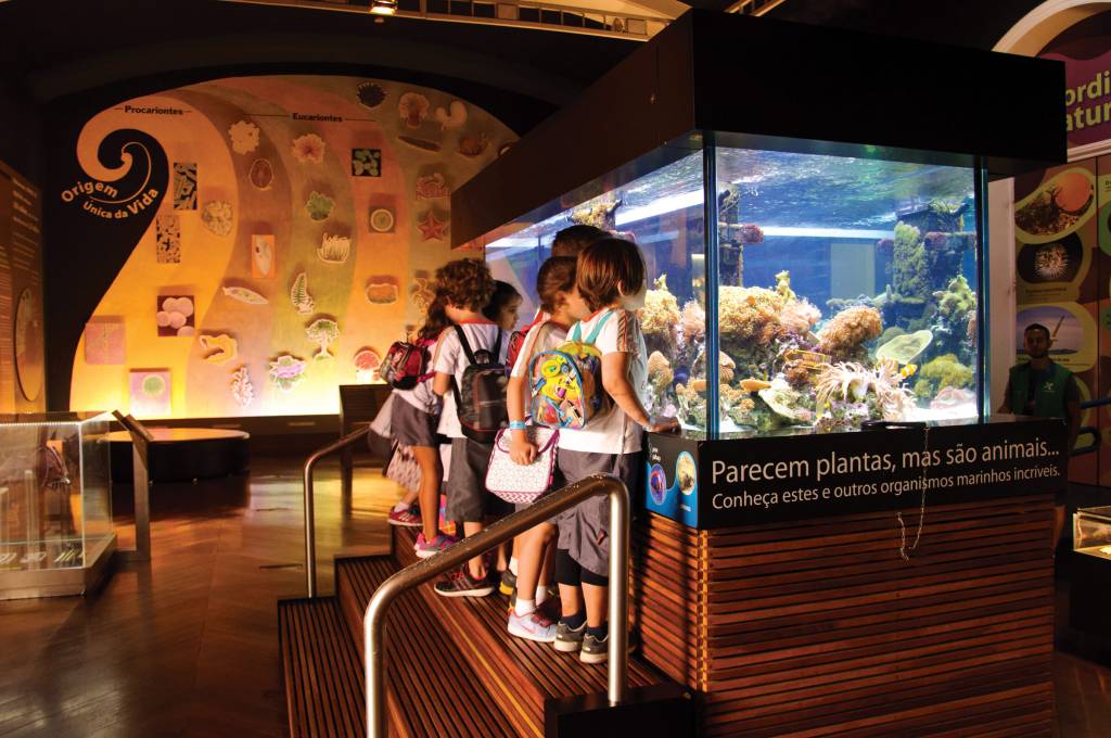 11 museus em São Paulo para visitar com as crianças nas férias